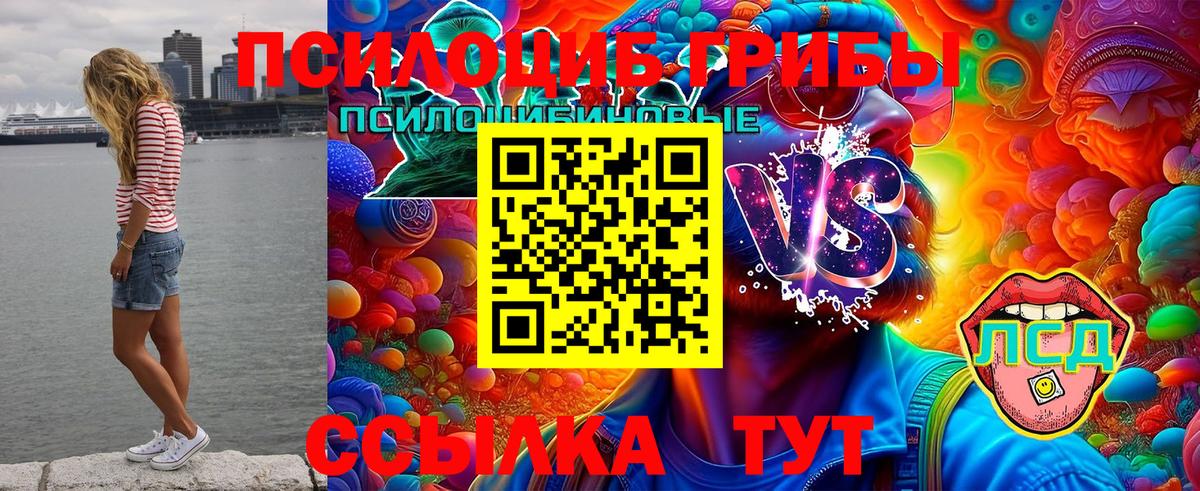 Галлюциногенные грибы GOLDEN TEACHER Аксай