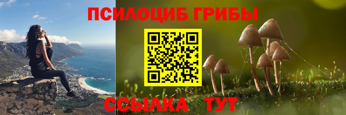 Галлюциногенные грибы ЛСД  Вход с VPN  Галлюциногенные грибы Psilocybe  Аксай 